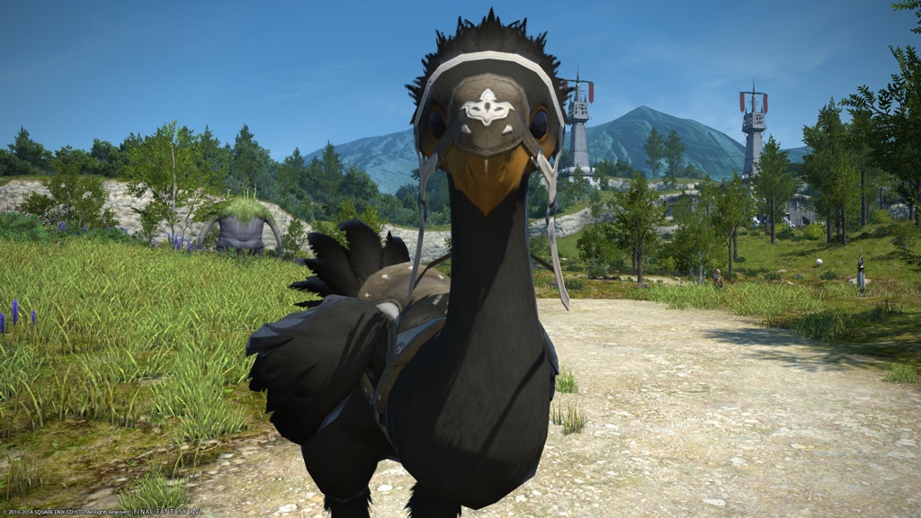 Raymond Caesar 日記「 雑記 ： チョコボ染色 スートブラックになる