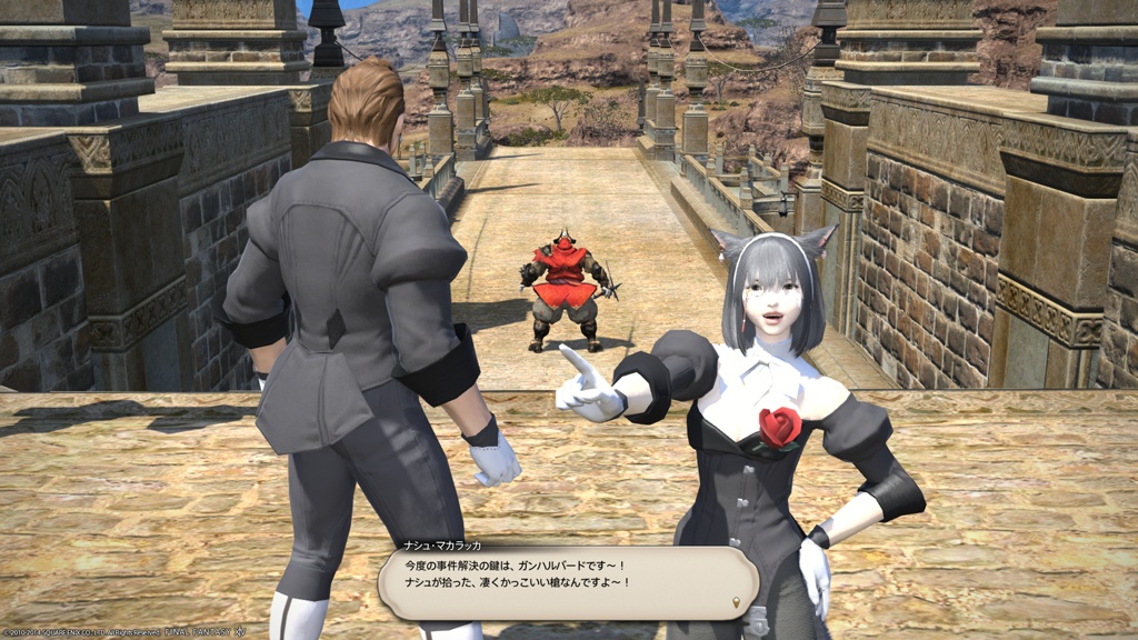 ff14 ヒルディブランド コレクション 家具