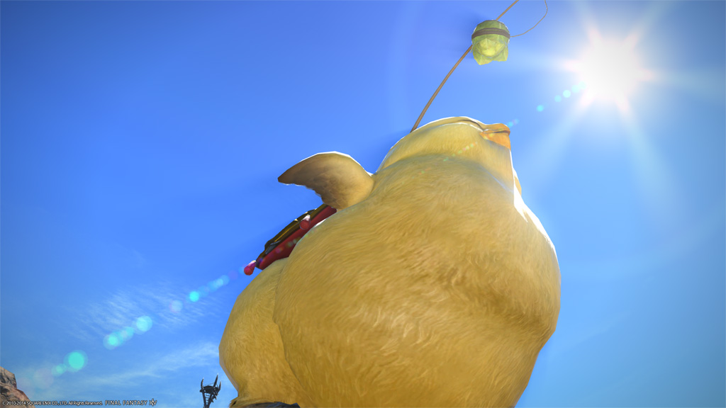 Momo Bunny Blog Entry `でぶチョコボ色々` | FINAL FANTASY XIV