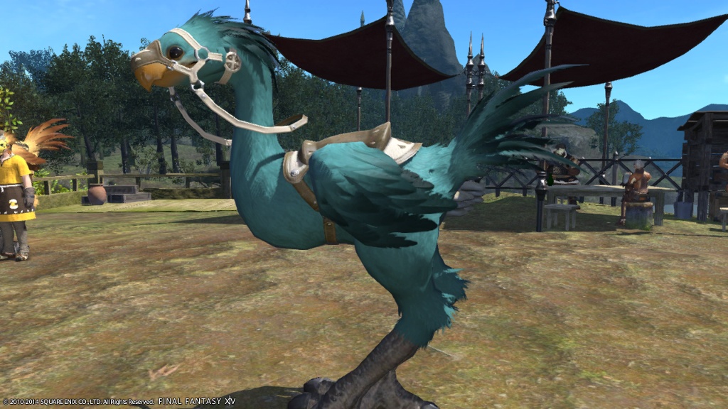 Noa Ginger 日記「チョコボ染色その3」 | FINAL FANTASY XIV, The