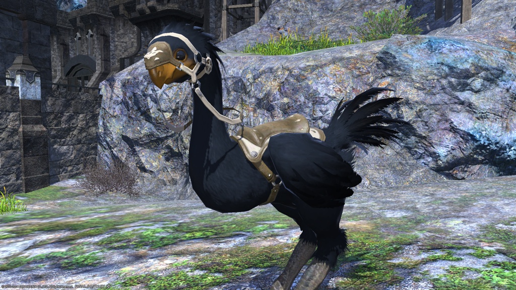 Axel Trial 日記「チョコボ染色について（インクブルー深青