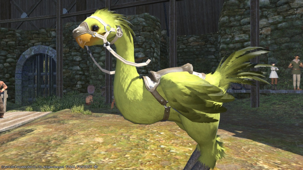 Noa Ginger 日記「チョコボ染色その2」 | FINAL FANTASY XIV, The