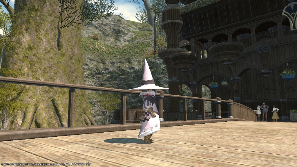 Nuko Sasimi 日記「ビビ！トランス！」 | FINAL FANTASY XIV, The