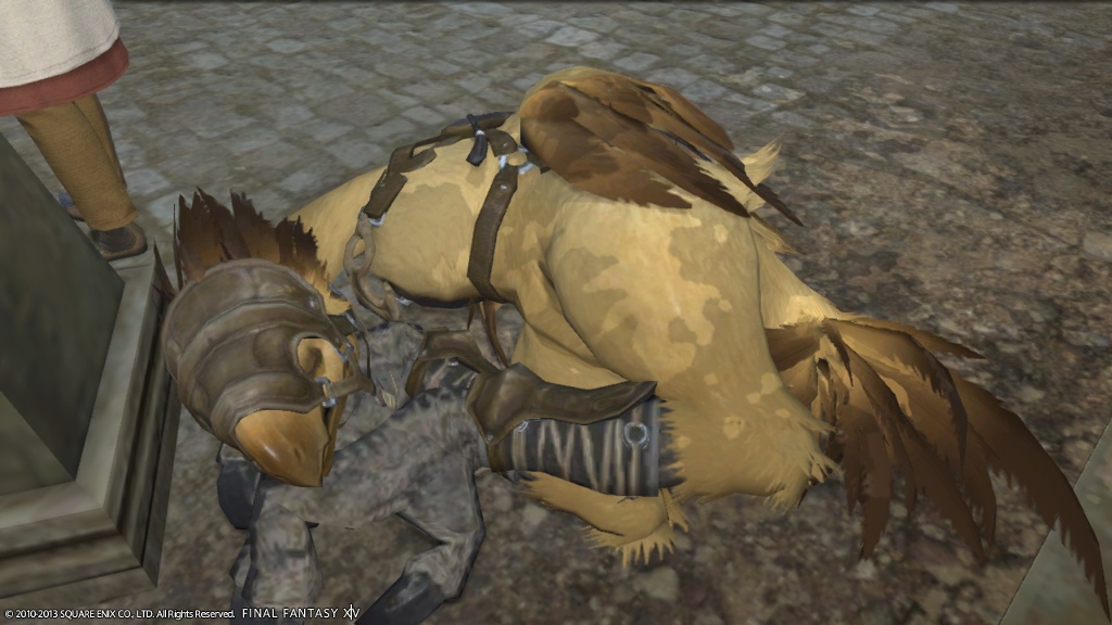 Sary Tk 日記「カクターとサボテンダー」 | FINAL FANTASY XIV, The