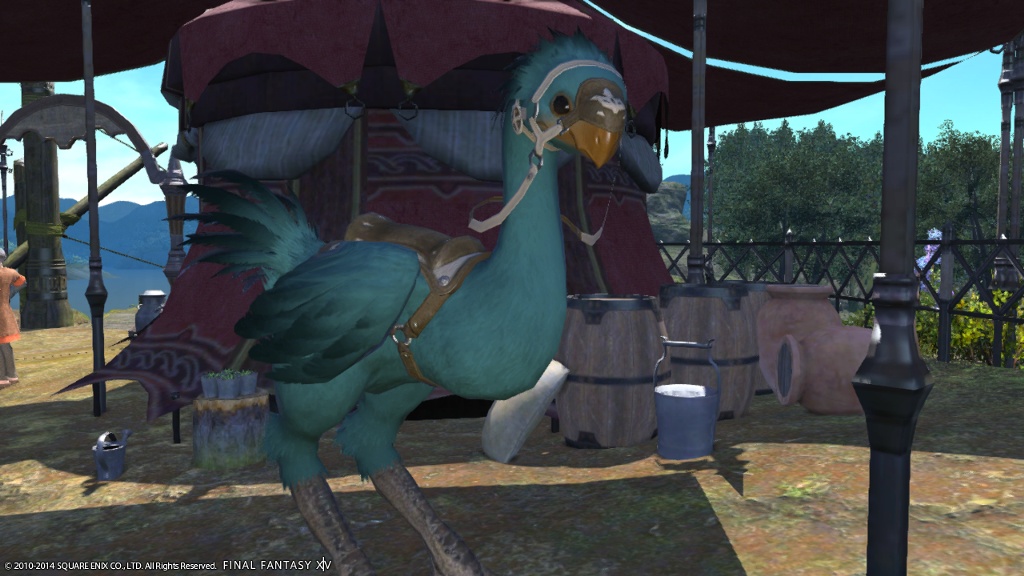 Noa Ginger 日記「チョコボ染色その3」 | FINAL FANTASY XIV, The