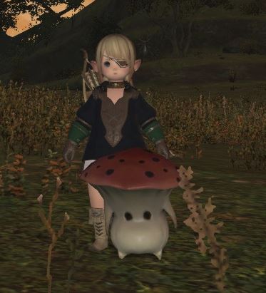 Wawai Wai 日記「きのこの山」 | FINAL FANTASY XIV, The Lodestone