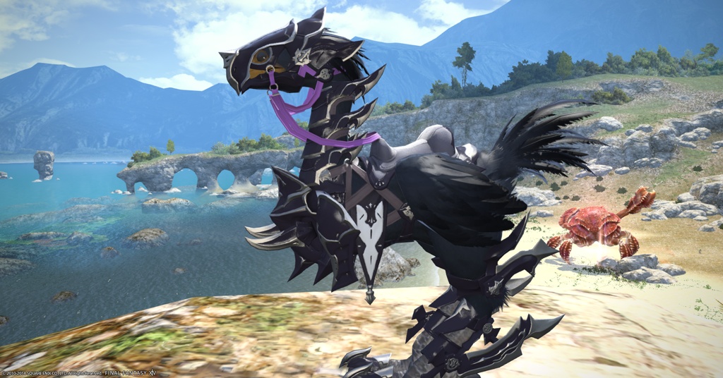 Tita Flaxen 日記「ﾁｮｺﾎﾞ染色 インクブルー」 | FINAL FANTASY