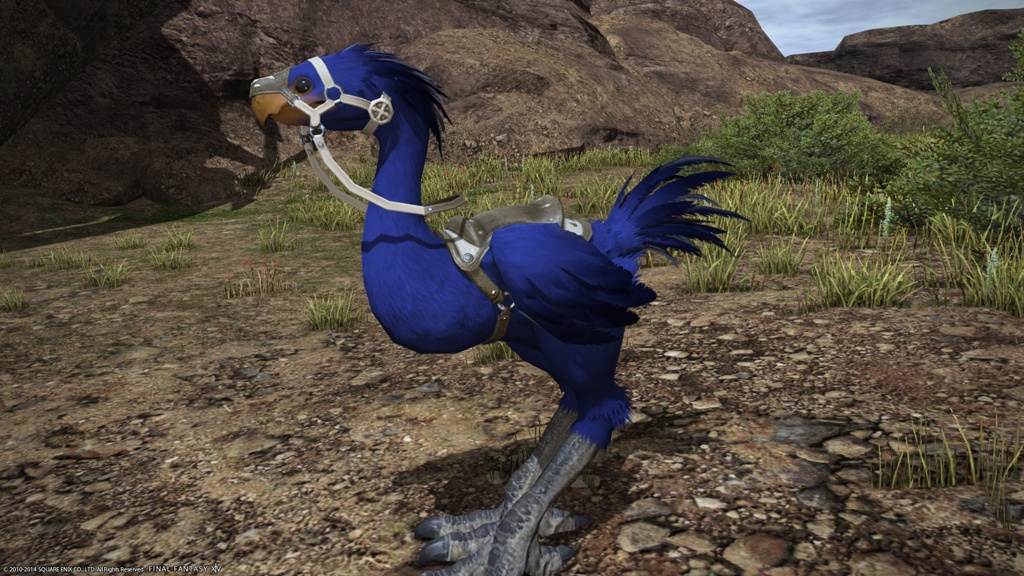 Bunny Hop Blog Entry `チョコボ染色履歴4` | FINAL FANTASY XIV, The