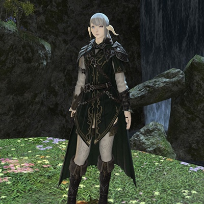 TDS ウィッシングウィングス コスチューム 4点セット ゼット（ZETT） 【名入れ刺繍可】ゼット ウィンドブレーカー