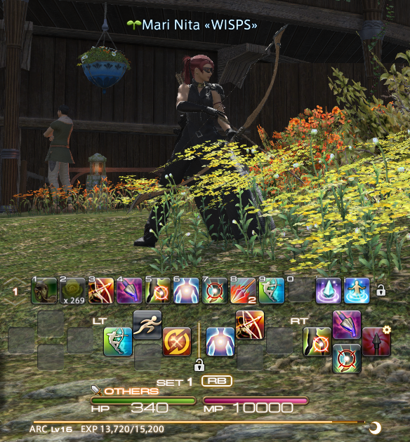 FINAL FANTASY XIV, The Lodestone Wisps of Eorthea