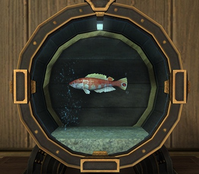 Iris Greave Blog Entry `パッチ7.2までの水槽のお魚さんまとめ