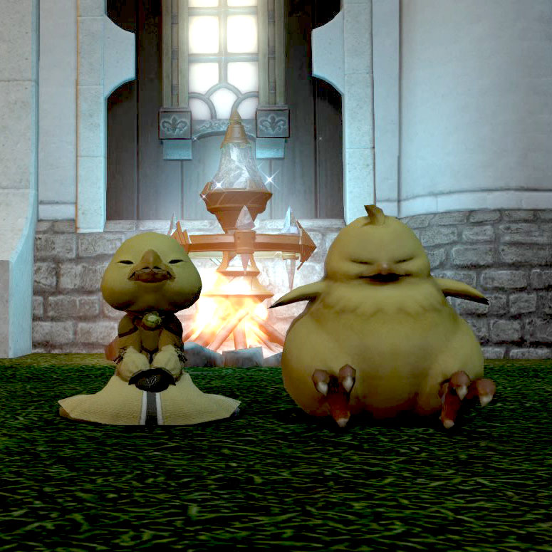Team Poko 日記「でぶチョコボ。」 | FINAL FANTASY XIV, The