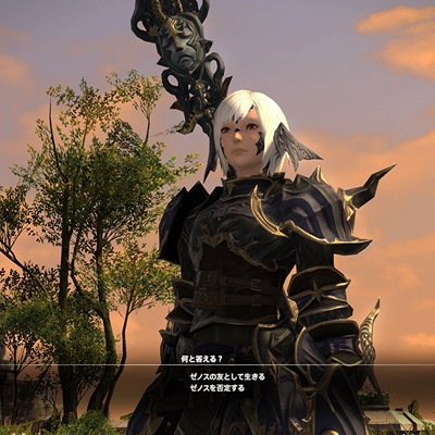 【未開封】ファイナルファンタジー14 紅蓮のリベレーター　ゼノス　FFⅩⅣ ゼノスFF14 紅蓮のリベレーター コレクターズエディション