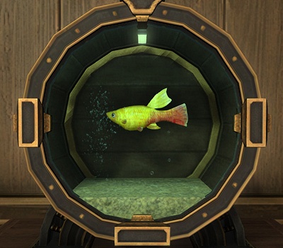 Iris Greave 日記「パッチ7.2までの水槽のお魚さんまとめ（淡水