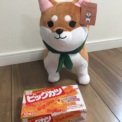 Kisaki Drividot 日記「クレーンゲームで豆柴ゲットゥ〜♪」 | FINAL