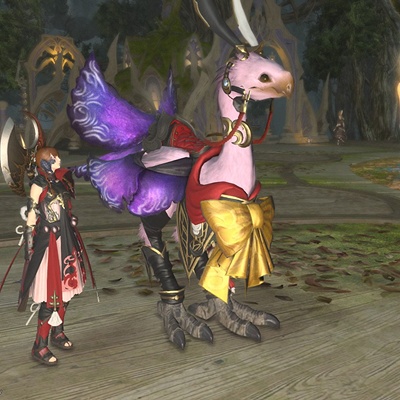 FINAL FANTASY XIV チョコボ 形状 アイテム チョコボはいつから乗れるの？マイチョコボを手に入れたら何が