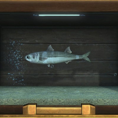 Iris Greave Blog Entry `パッチ7.1までの水槽のお魚さんまとめ Iris Greave Blog Entry `パッチ7.1までの水槽のお魚さんまとめ