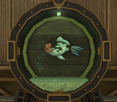 古伊万里　色絵　金魚に藻の図　盃洗　TX0DACG-AS-fbrx 古伊万里 色絵 金魚に藻の図 盃洗 TX0DACG-AS-fbrx 工芸品