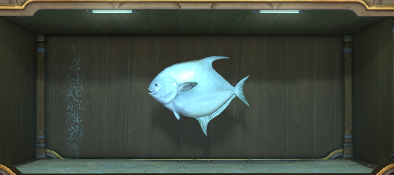 Iris Greave 日記「パッチ7.4までの水槽のお魚さんまとめ（海水