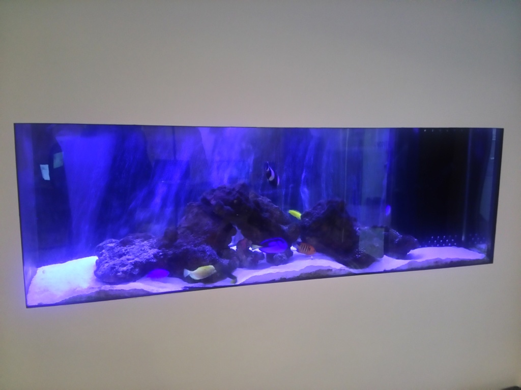 Pergole Torte 日記「海水槽」 | FINAL FANTASY XIV, The Lodestone