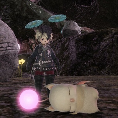 ファイナルファンタジー14 モーグリ 51sE1oHprHL._UF350,350_QL50_.jpg