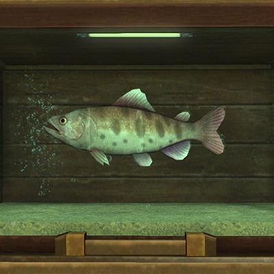 魚5 4f4b233ed1489f7fdfb4f9bfd69201
