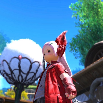 Brunhild Walkure Blog Entry `ノクト様ヘアーと畑` | FINAL FANTASY XIV, The Lodestone