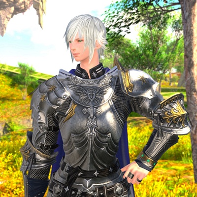 FF14 暁月ナイト スカジャン Ted Trichoderma 日記「【解体新書