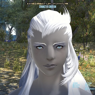 魔獣召喚⭐︎ふぉわどーる　/ ノーマルフルフィー FF11 Database