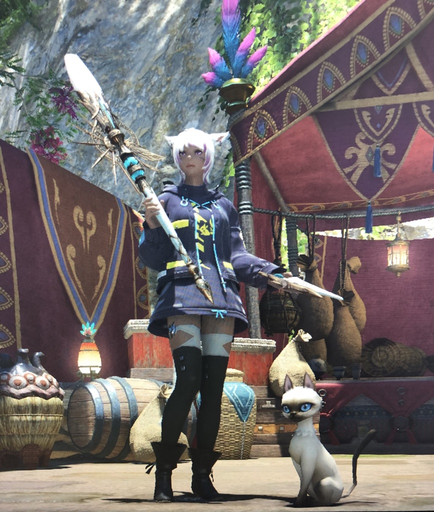 Jilva Swordsman Blog Entry `ヴァンガード装備集め 防具編(ヒラキャスレンジ)` | FINAL FANTASY XIV,  The Lodestone