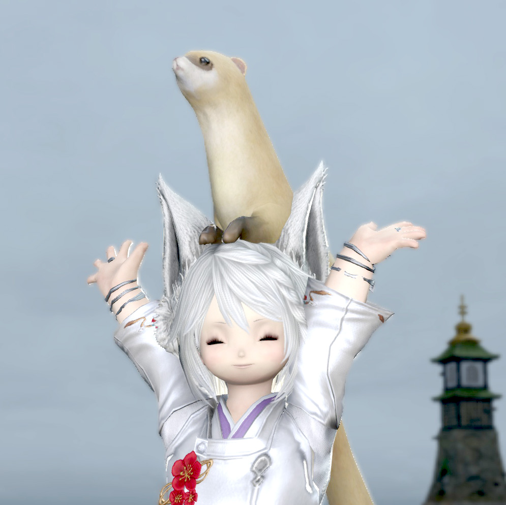 Rin Rilan Blog Entry `【DDC日誌】ララフェル限定！頭に乗る