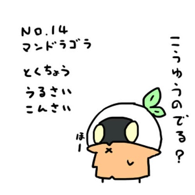 MAMU様　確認用 ツールプラネット 整備兼用検査用スキャンツール 故障診断 OBD 車両