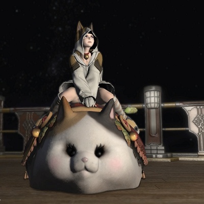 驚きの値段で FF14 ファイナルファンタジーXIV ファットキャット