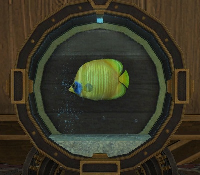 Iris Greave Blog Entry `パッチ7.1までの水槽のお魚さんまとめ Iris Greave Blog Entry `パッチ7.1までの水槽のお魚さんまとめ