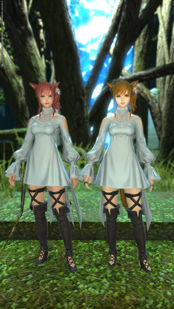 Beginner Asclepias Blog Entry `買っちゃいますよね` | FINAL FANTASY