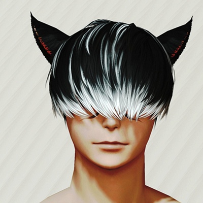 マッシュ様　コメット Yamato 2205 Mecha Guide | CosmoDNA