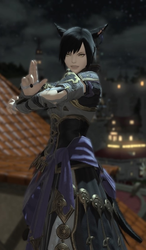 Alred Another Blog Entry `理想の忍者装備を求めて…` | FINAL