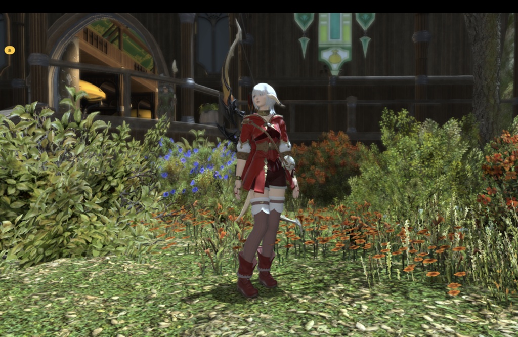 Akari Seno 日記「初めての自由探索」 | FINAL FANTASY XIV, The
