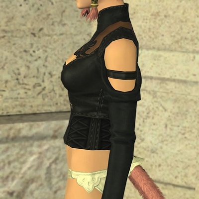 Wao Miqotte Blog Entry `忍者用ヨルハ胴「レオタード」ミラプリ Wao Miqotte Blog Entry `忍者用ヨルハ胴「レオタード」ミラプリ