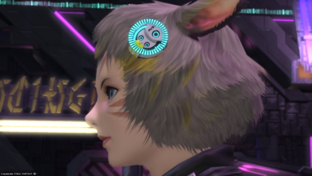 ファイナルファンタジーXIV レギュレーター FF14 FINAL FANTASY XIV Regulator | SQUARE ENIX Store