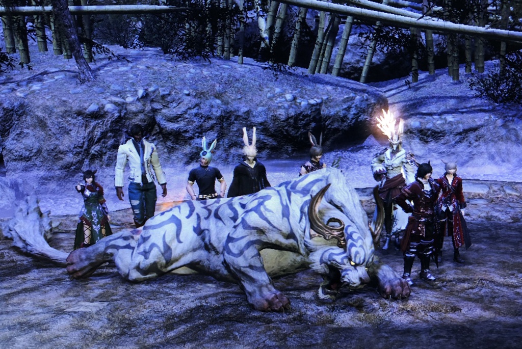 Jilva Swordsman 日記「幻白虎の練習？に下限で極白虎」 | FINAL