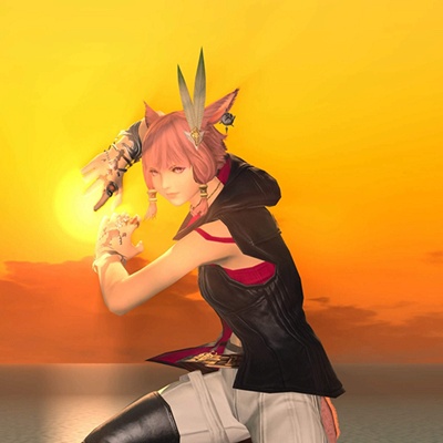 Wao Miqotte 日記「モンク73装備「カ◯ハ◯波〜っ‼︎」ミラプリ