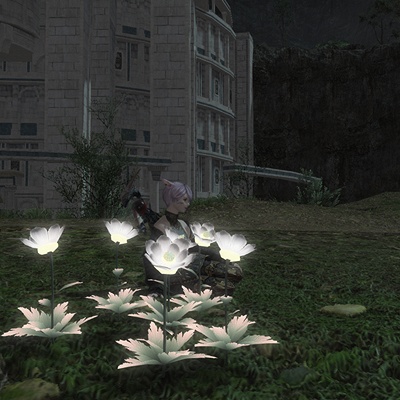 Pimmo Centi's 日記「エルピスの花」 | FINAL FANTASY XIV, The