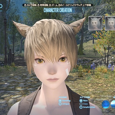 Aki-aki Akkie Blog Entry `【キャラクリ】ミコッテ・ムーンキーパー