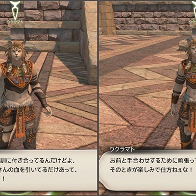 Yaruyo Banzoku 日記「7.3クリア後のNPCのセリフ」 | FINAL FANTASY