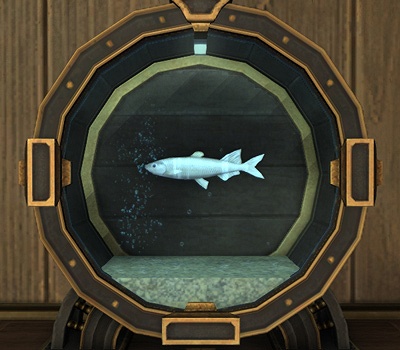 Iris Greave 日記「パッチ7.3までの水槽のお魚さんまとめ（海水