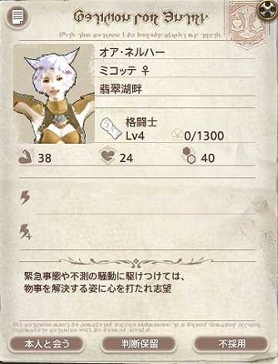 ff14 小隊 志願兵 ドレス