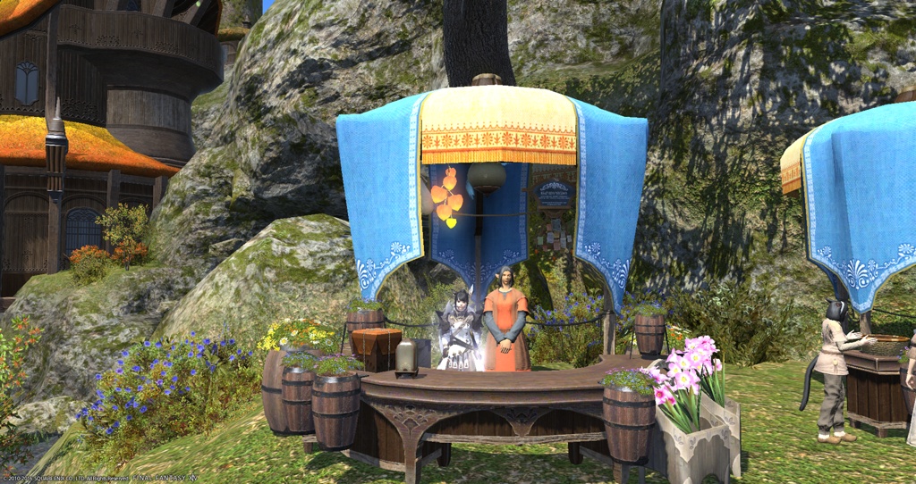 Meslon Sephirot 日記「グリダニア市街 「カウンター」 お山歩