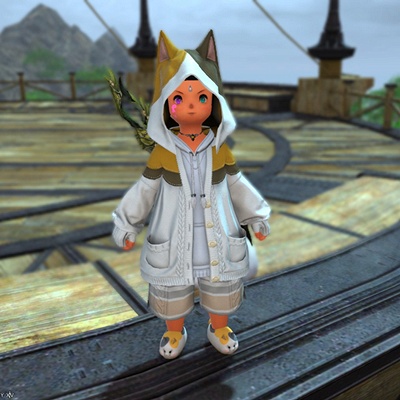 Kirch Silvan Blog Entry `ファットキャット・コスチュームセット` | FINAL FANTASY XIV, The  Lodestone