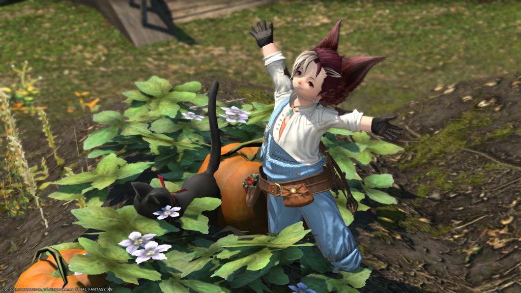 ff14 コレクション 漁師 服